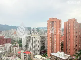 縮圖17
