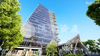 縮圖11