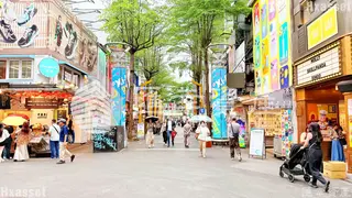 縮圖8