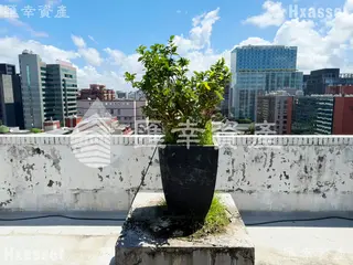 縮圖14